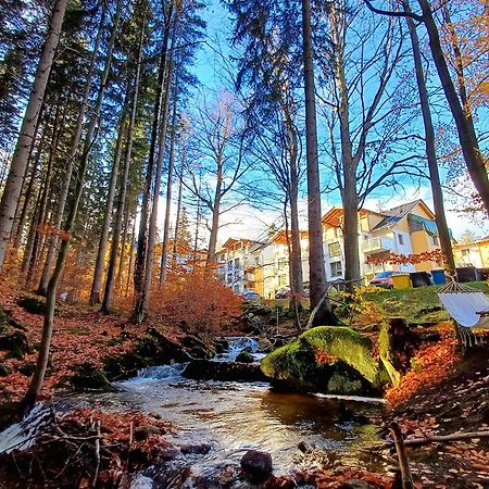 Apartamenty Nad Zlotym Potokiem شكلارسكا بوريبا المظهر الخارجي الصورة