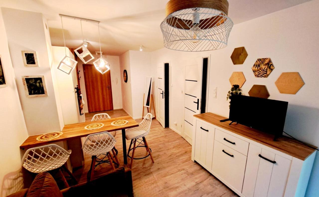 Apartamenty Nad Zlotym Potokiem شكلارسكا بوريبا المظهر الخارجي الصورة
