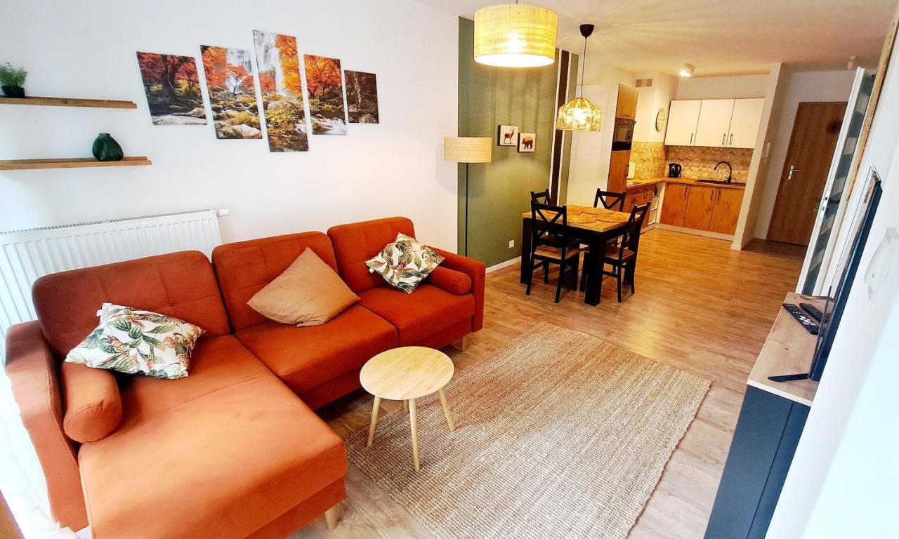 Apartamenty Nad Zlotym Potokiem شكلارسكا بوريبا المظهر الخارجي الصورة