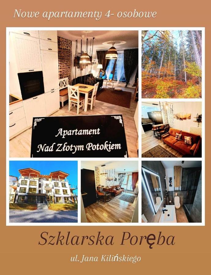 Apartamenty Nad Zlotym Potokiem شكلارسكا بوريبا المظهر الخارجي الصورة