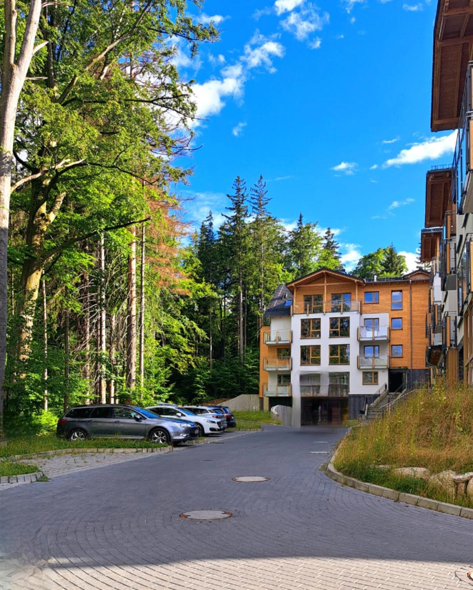 Apartamenty Nad Zlotym Potokiem شكلارسكا بوريبا المظهر الخارجي الصورة